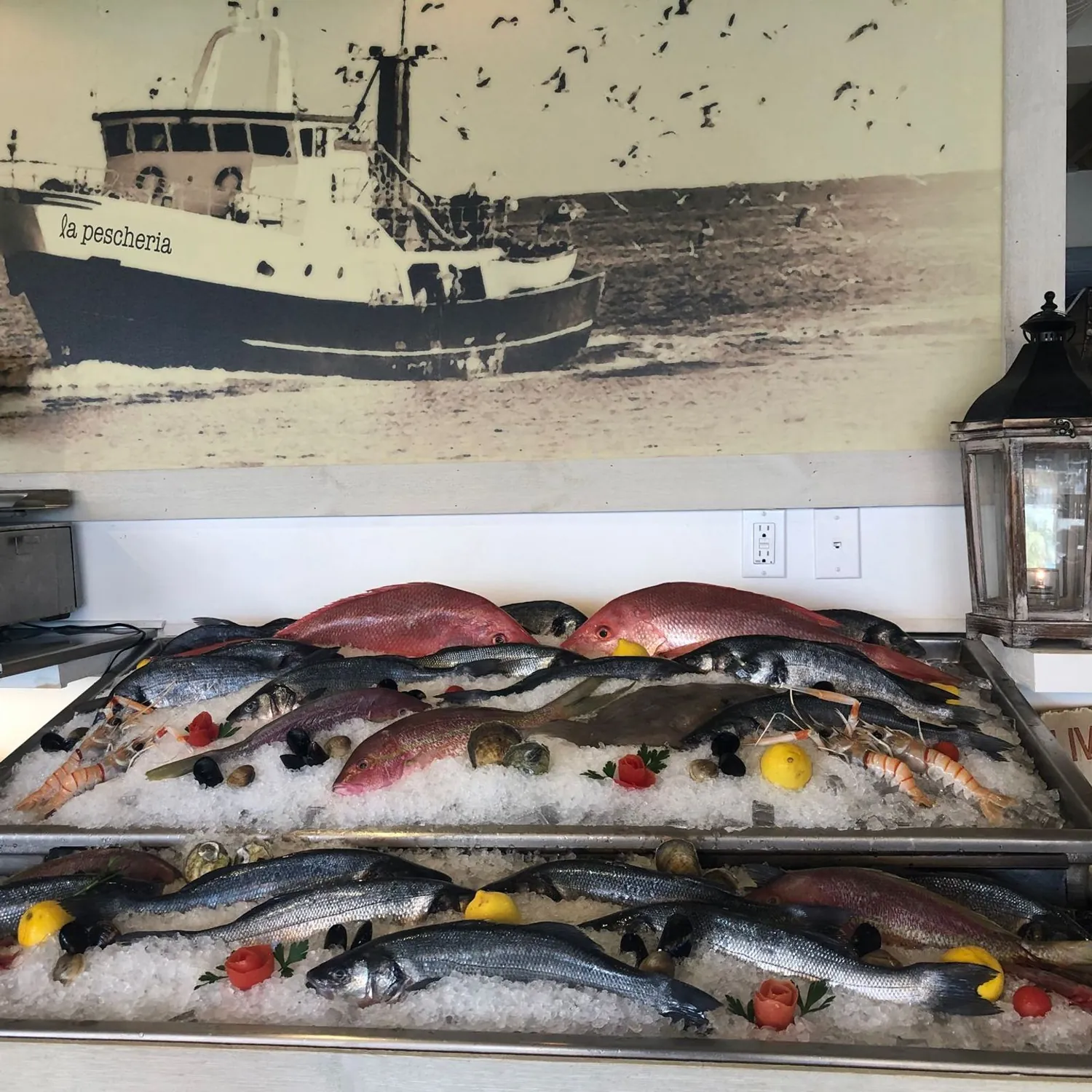 Whole red snapper, branzino, prawns and shellfish on crushed ice under La Pescheria's fishing-boat mural
